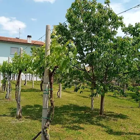 La Cjase di Pieri e Vilme-2